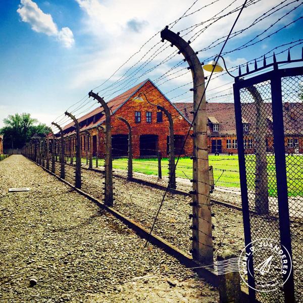 Auschwitz 12