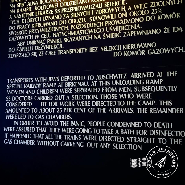 Auschwitz 5