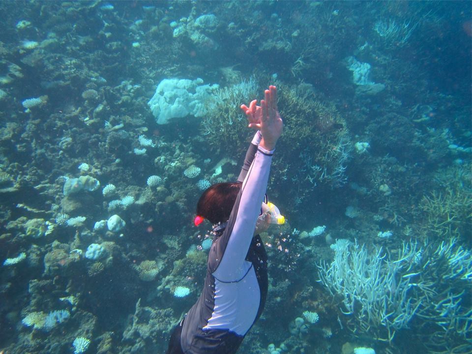Coral Reef Diving